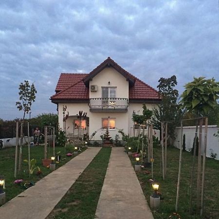 Blue Sky House Hotel Balotesti Ngoại thất bức ảnh