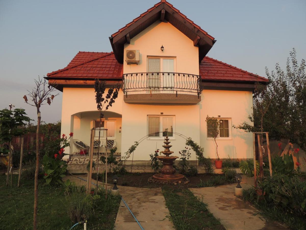 Blue Sky House Hotel Balotesti Ngoại thất bức ảnh