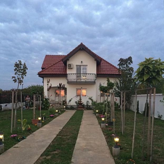 Blue Sky House Hotel Balotesti Ngoại thất bức ảnh