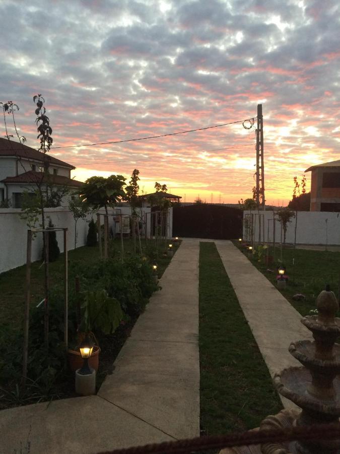 Blue Sky House Hotel Balotesti Ngoại thất bức ảnh